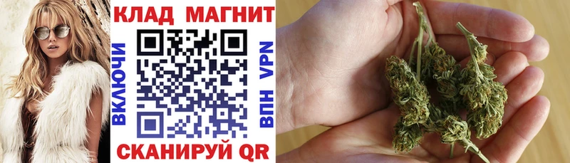 Купить наркотики сайты Новый Оскол blacksprut   АМФ  Каннабис  COCAIN  Псилоцибиновые грибы 