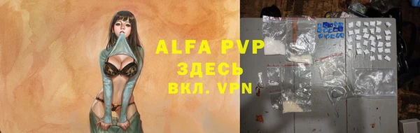 трава Аркадак