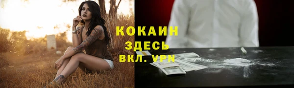 трава Аркадак