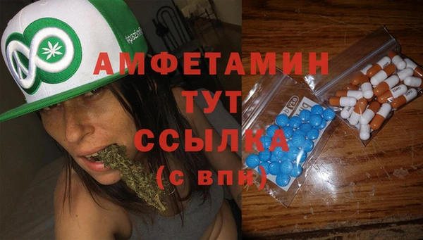 трава Аркадак