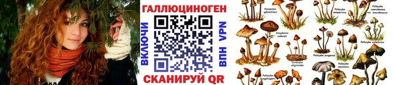 купить наркоту  Новый Оскол  Галлюциногенные грибы Magic Shrooms 